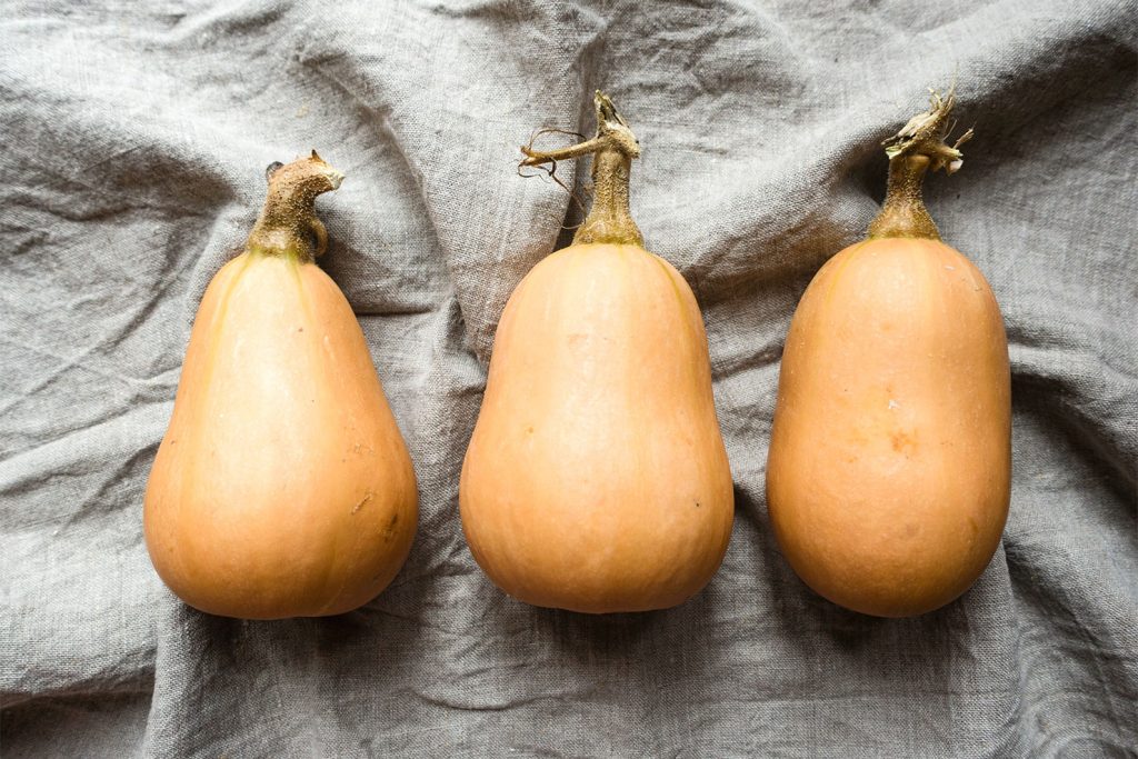 acorn-squash